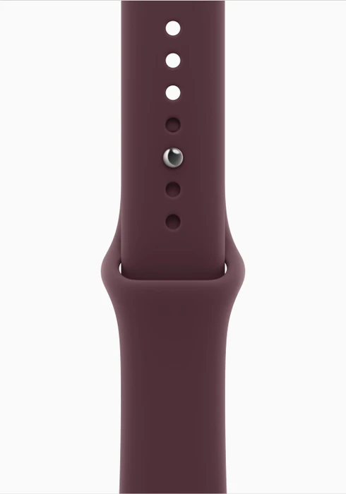 Apple Watch Series 12 (GPS + Cellular) 46mm Titan brillantgold mit Sportarmband M/L burgunder