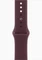 Apple Watch Series 12 (GPS + Cellular) 46mm Titan brillantgold mit Sportarmband M/L burgunder Vorschaubild