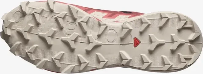 Salomon Speedcross 6 Gore-Tex black/cow hide/faded rose (Damen)
