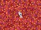 Clementoni Impossible Puzzle! Disney Frozen 2 Vorschaubild