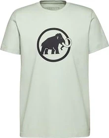 Mammut Core Classic T-Shirt kurzarm silver sage (Herren)
