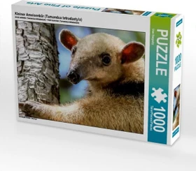Calvendo Kleiner Ameisenbär (Tamandua tetradactyla)
