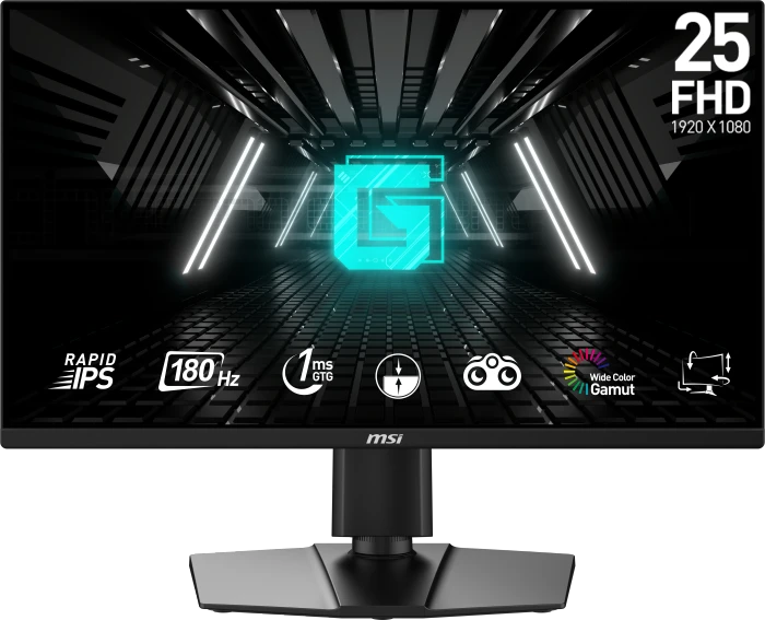 MSI G255PFDE E2, 24.5"