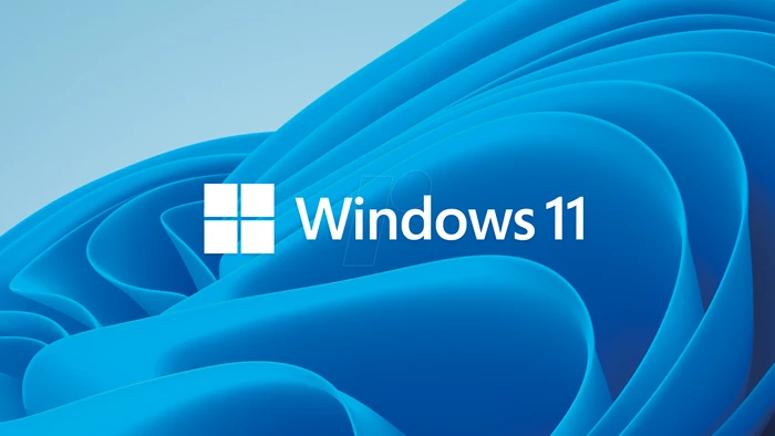Microsoft Windows 11 Pro for Workstations 64Bit, DSP/SB (englisch) (PC)