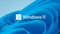 Microsoft Windows 11 Home Vorschaubild