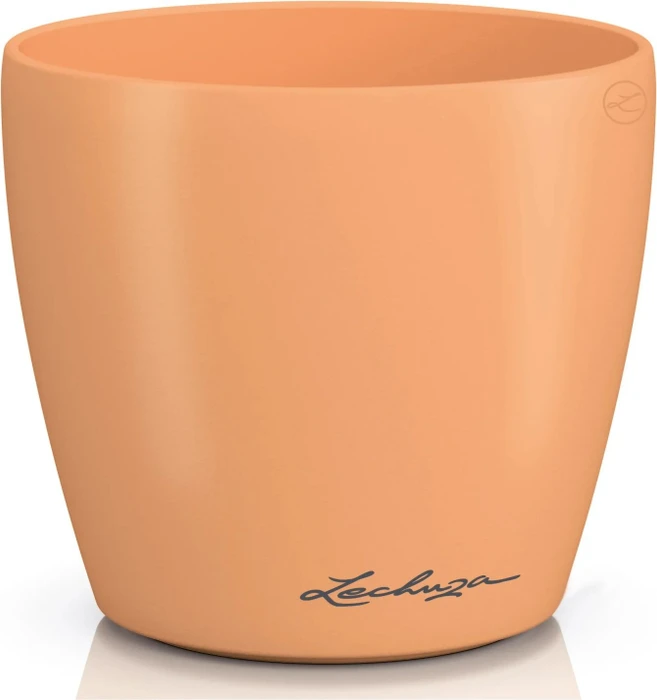 Lechuza Classico Color Deco 10