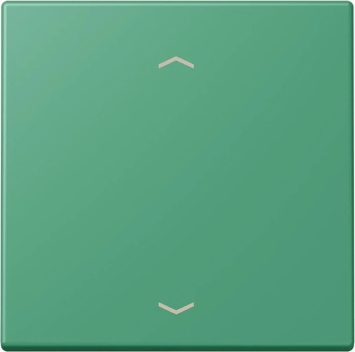 Jung Wippe 1-fach, vert 59