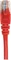 Intellinet Patchkabel, Cat5e, U/UTP, RJ-45/RJ-45, 1m, rot Vorschaubild