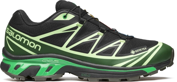 Salomon XT-6 GTX black/eden/green ash
