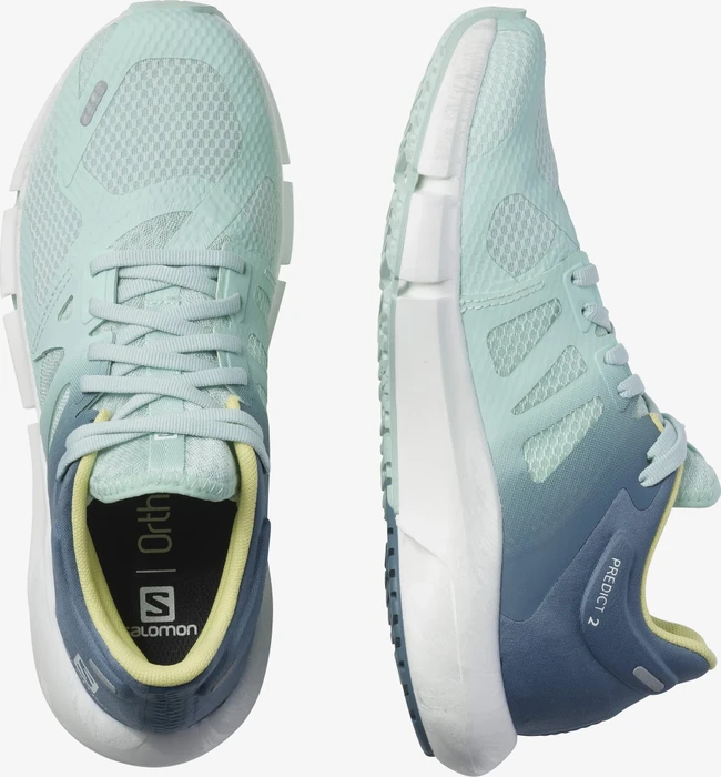 Salomon Predict 2 icy morn/copen blue/charlock (Damen)