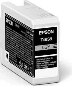 Epson Tinte T46S9 UltraChrome Pro 10 grau hell