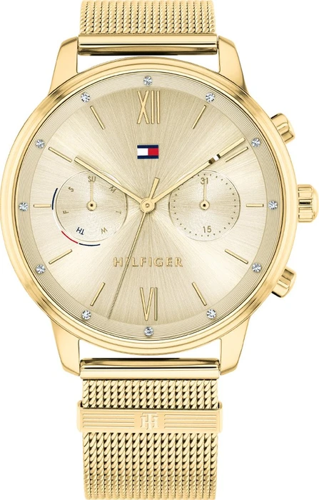 Tommy Hilfiger Blake Casual 1782302