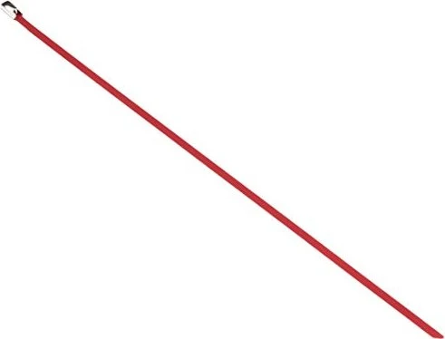 DeLOCK Edelstahl Kabelbinder, 4.6mm, 300mm, rot, 10 Stück