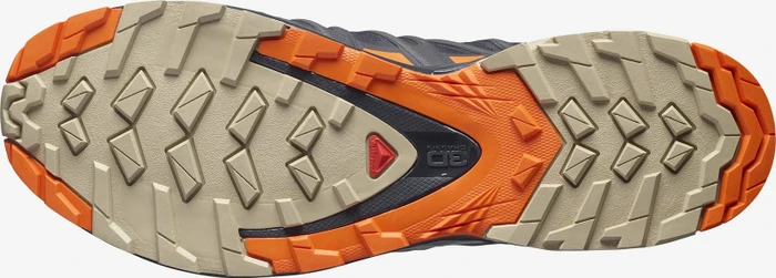 Salomon XA Pro 3D V8 GTX night sky/red orange/safari (Herren)
