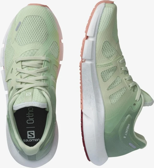 Salomon Predict 2 spray/granite green/blooming dahlia (Damen)