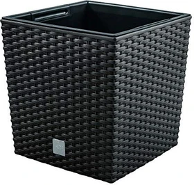 Prosperplast Rato Low 17x17cm anthrazit