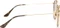 Ray-Ban Round Double Bridge gold/brown classic Vorschaubild