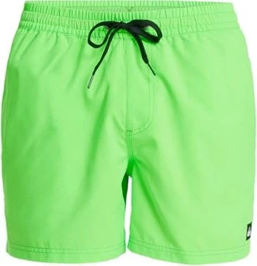 Quiksilver Everyday Solid 15" Badeshorts green gecko (Herren)