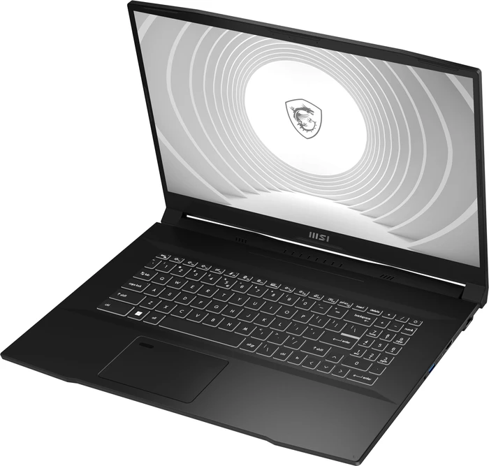 MSI CreatorPro M17 A12UJS-206, Core Black, Core i7-12700H, 32GB RAM, 1TB SSD, RTX A2000, DE