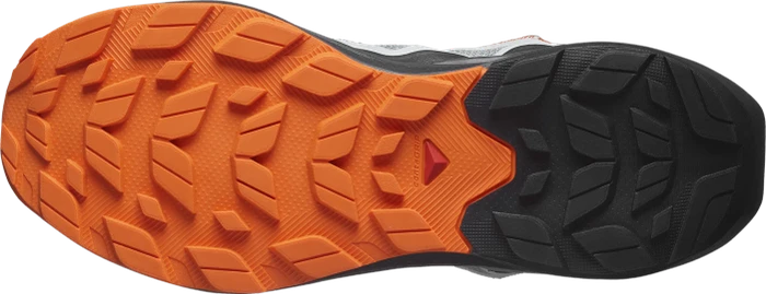 Salomon Elixir Activ GTX sharkskin/phantom/dragon fire (Herren)