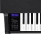 Casio Celviano Grand Hybrid GP-310 schwarz Vorschaubild