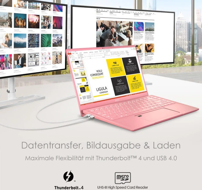 MSI Prestige 14 A11SCX-202, Rose Pink, Core i7-1185G7, 16GB RAM, 1TB SSD, GeForce GTX 1650 Max-Q, DE