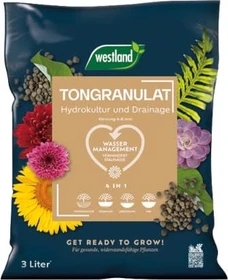Westland Tongranulat, 3l