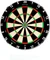 Precise 180 Endorphine Dartscheibe classic white Vorschaubild
