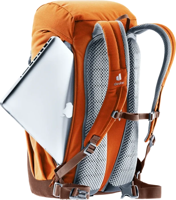 Deuter Walker 24 chestnut/umbra