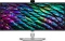 Dell P-Serie 2026 Vorschaubild