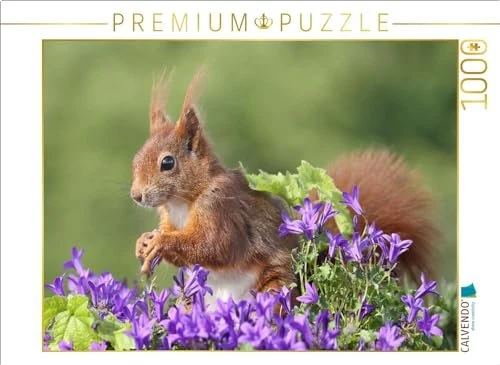Calvendo Ein Motiv aus dem Kalender Besondere Augenblicke mit Eichhörnchen