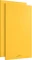 AudioSilk Akustikpaneele 116x58cm 2er Pack Vorschaubild