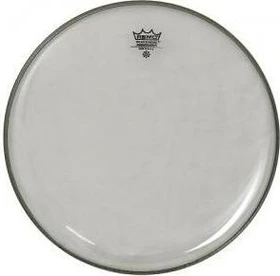 Remo Ambassador Clear 10"
