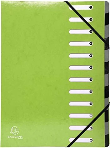 Exacompta Harmonika Ordnungsmappe, 12 Fächer, A4, grün