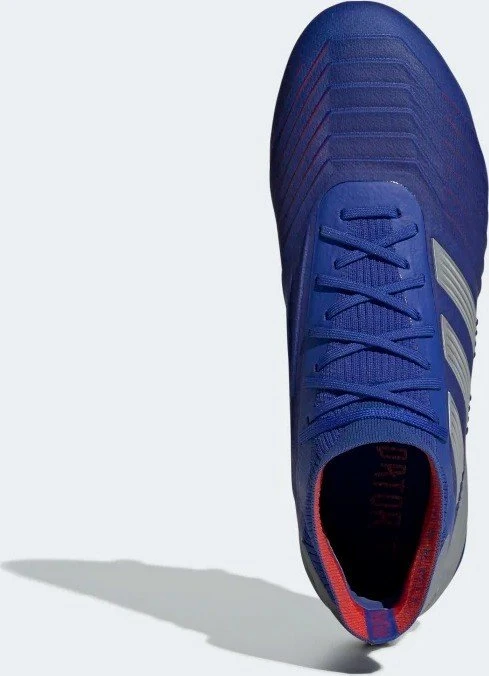 adidas Predator 19.1 FG bold blue/silver met./football blue (Herren)
