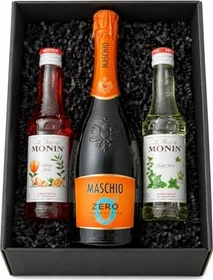Monin Orange Spritz       250ml
