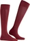 Falke Cotton Touch Socken barolo (Damen) Vorschaubild