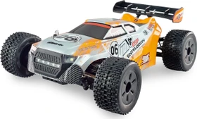 Amewi Entelodon Pro Truggy brushless 4WD RTR 1:18
