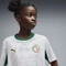 Puma FIFA WM 2026 Senegal Heimtrikot kurzarm puma white/wild green (Junior) Vorschaubild