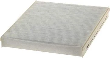 Hengst E2918LI