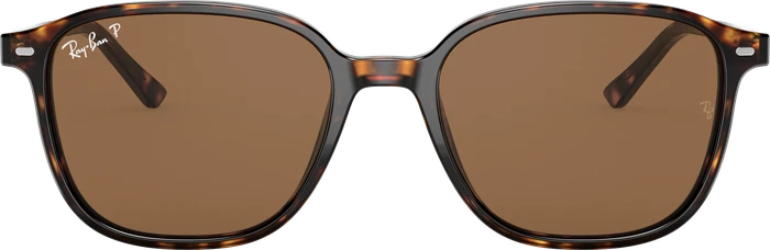 Ray-Ban RB2193 Leonard