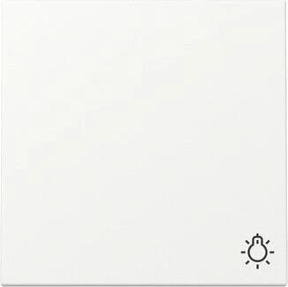 Gira Wippe mit Symbol Licht 3285