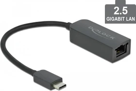 DeLOCK 2.5G LAN-Adapter kompakt, RJ-45, USB-C 3.0 [Stecker] (66645)