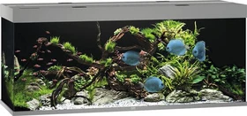 Juwel Rio 450 LED Aquarium-Set, grau, 450l