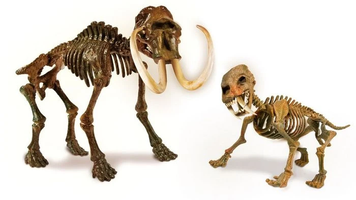 Clementoni Galileo Ausgrabungs-Set Smilodon & Mammut