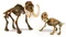 Clementoni Galileo Ausgrabungs-Set Smilodon & Mammut Vorschaubild
