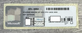 Microsoft Windows Server 2022 Standard 64Bit, 16 Cores, OEM/DSP/SB, ESD (deutsch) (PC)