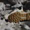 adidas Terrex AX4 wonder beige/carbon/pure ruby (Herren) Vorschaubild