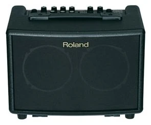 Roland AC-33