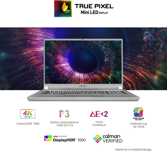 MSI WS75 10TM-498 Mobile Workstation WS75 10TM-498, Space Grey, Core i9-10980HK, 32GB RAM, 1TB SSD, Quadro RTX 5000 Max-Q, DE